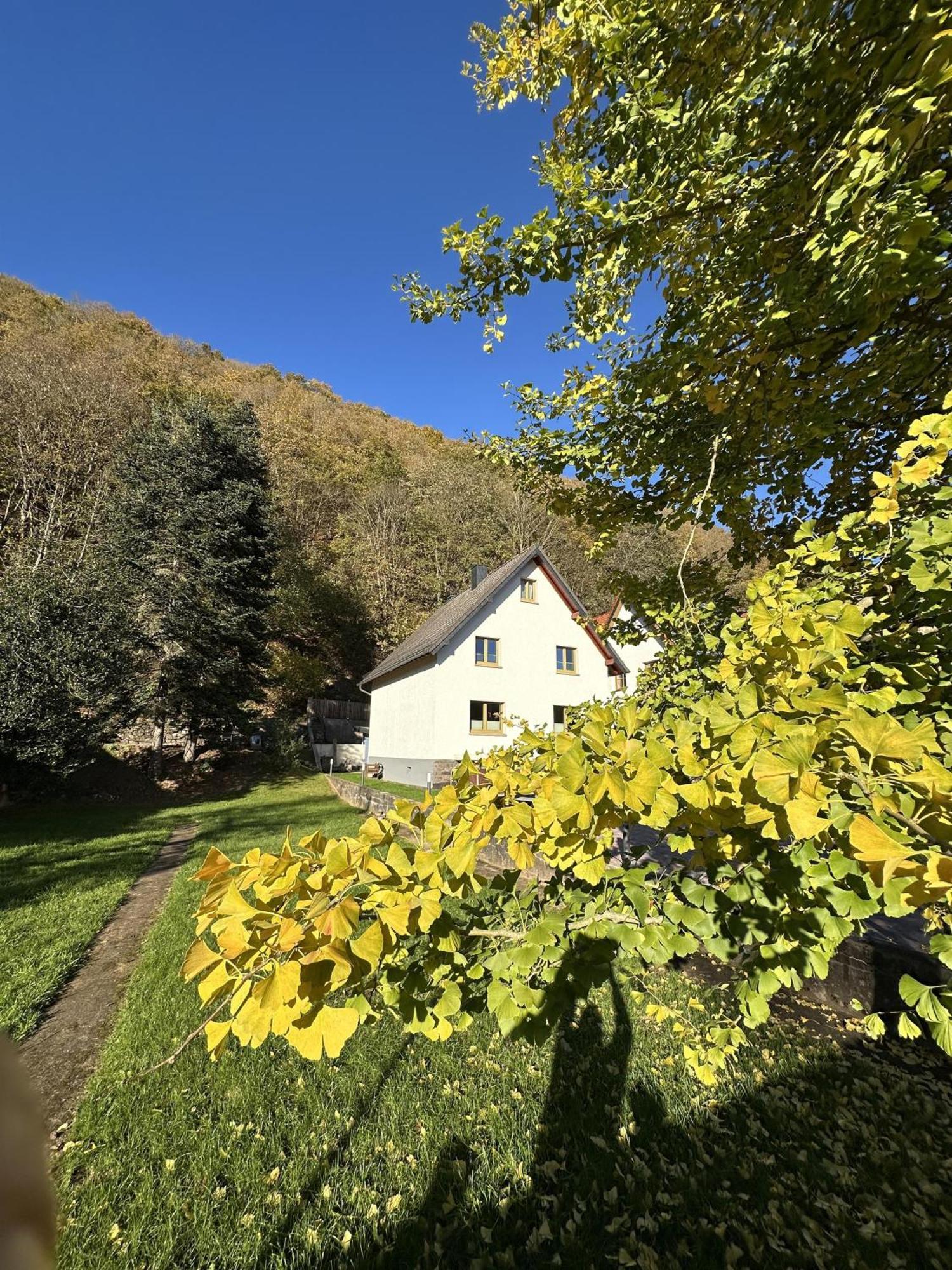 Ferienhaus Ginkgo Biloba Malsbenden Exterior foto